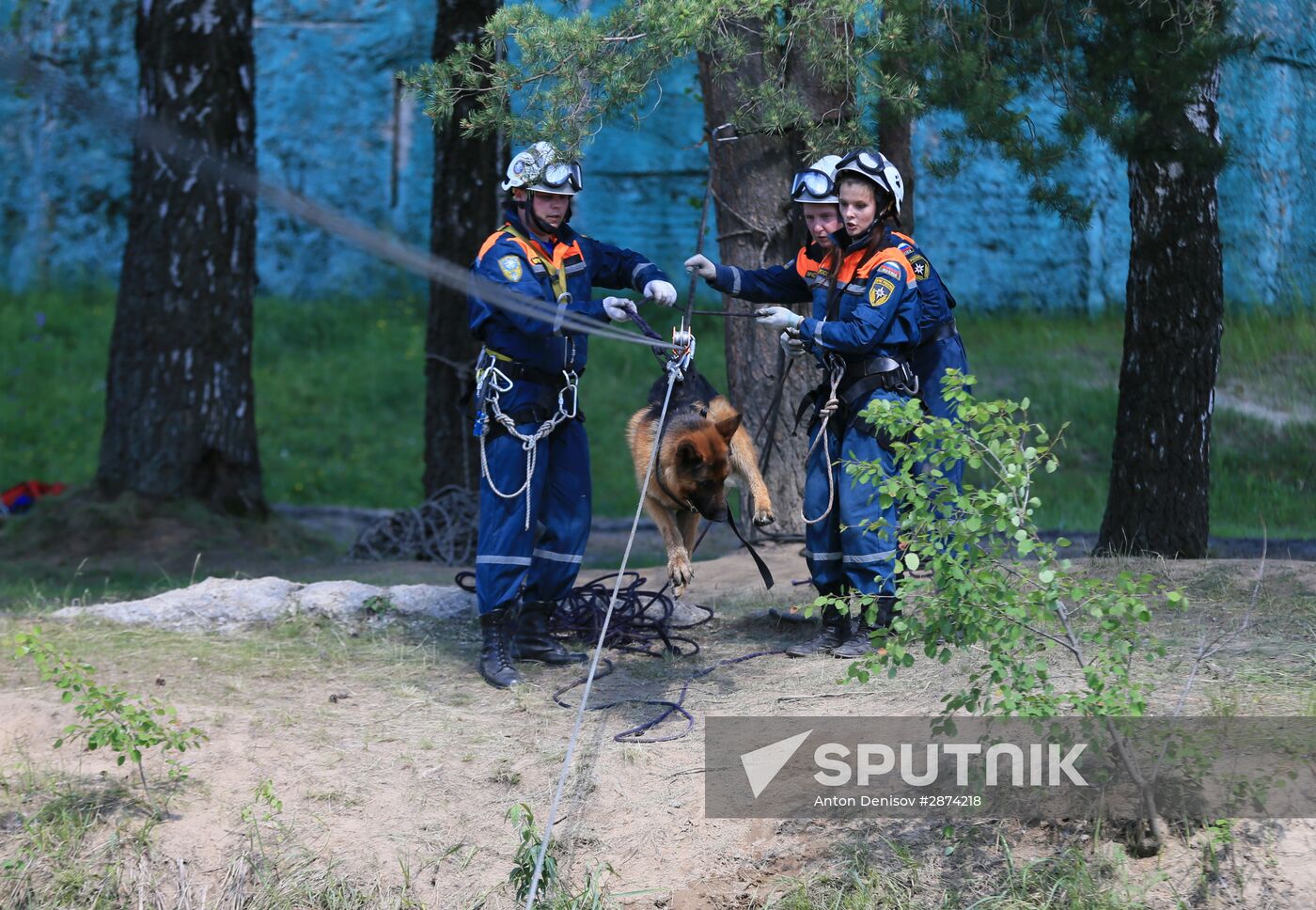 Emergencies Ministry Canine Center
