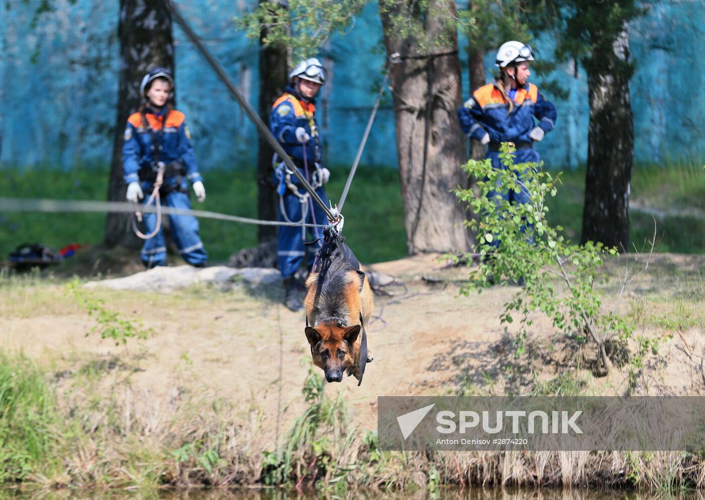 Emergencies Ministry Canine Center