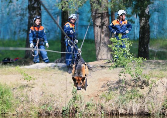 Emergencies Ministry Canine Center