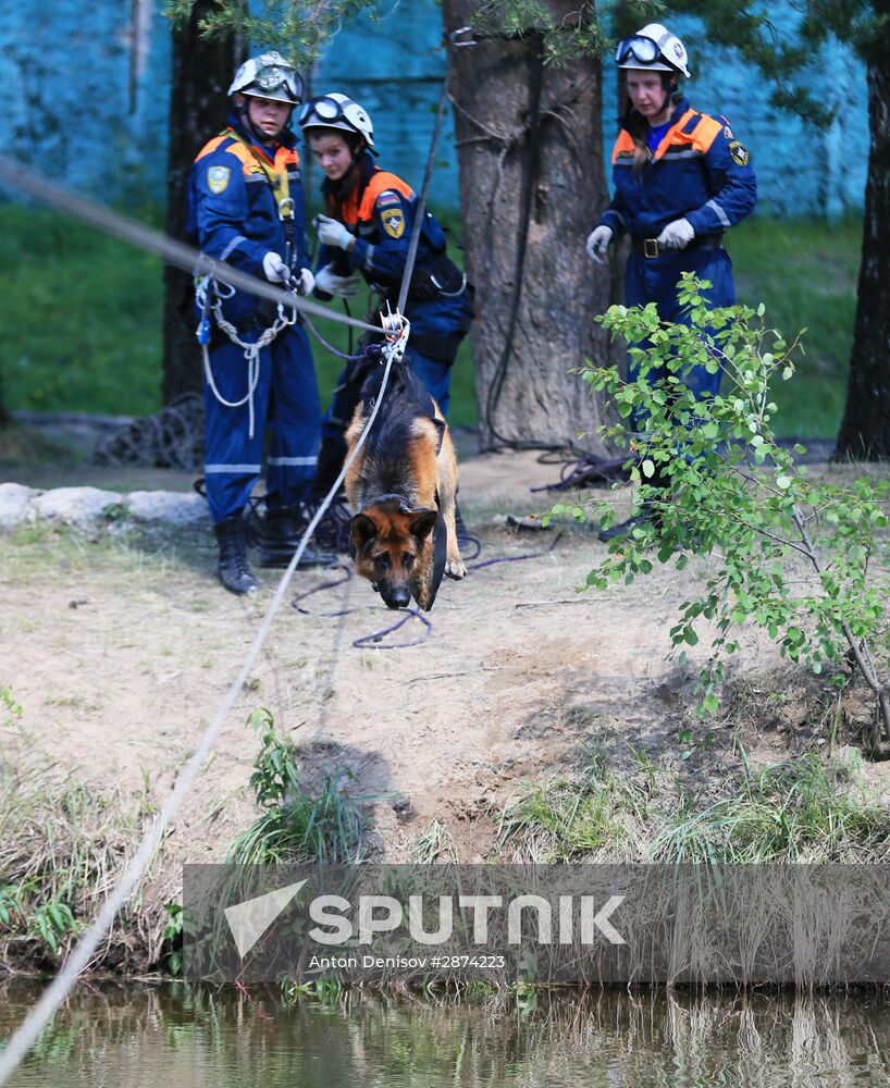 Emergencies Ministry Canine Center