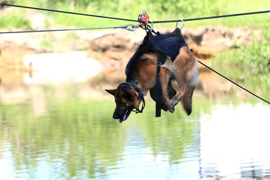 Emergencies Ministry Canine Center