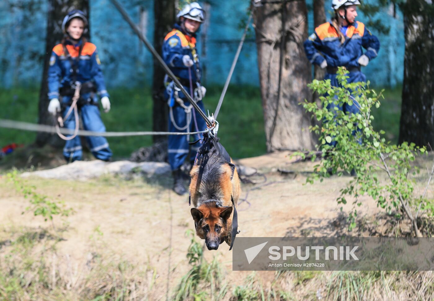 Emergencies Ministry Canine Centre