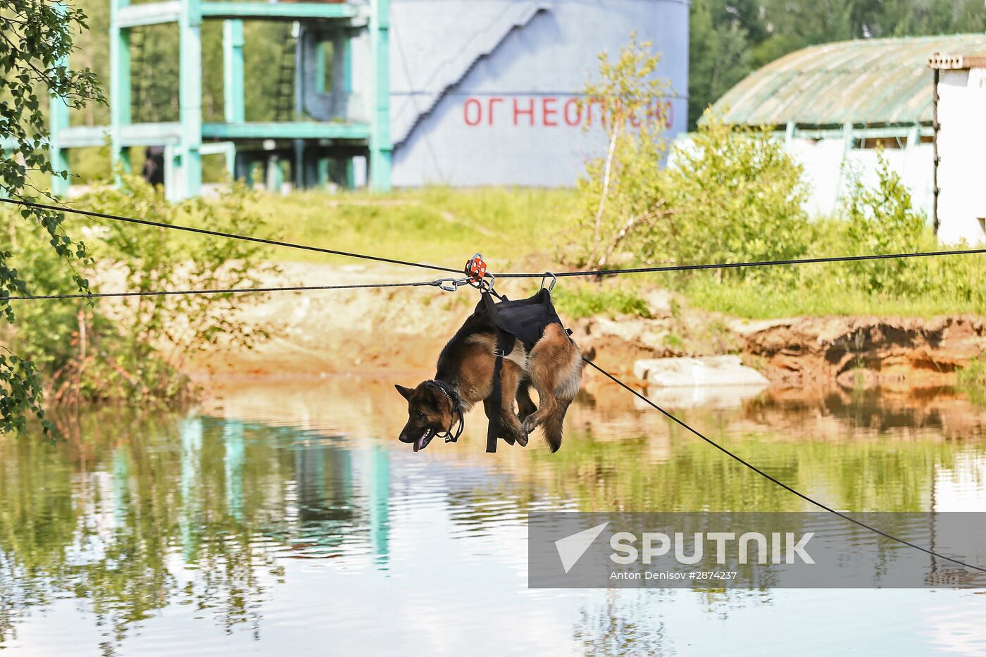 Emergencies Ministry Canine Center