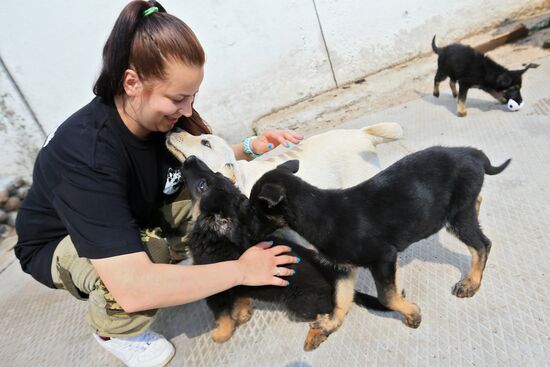 Emergencies Ministry Canine Center