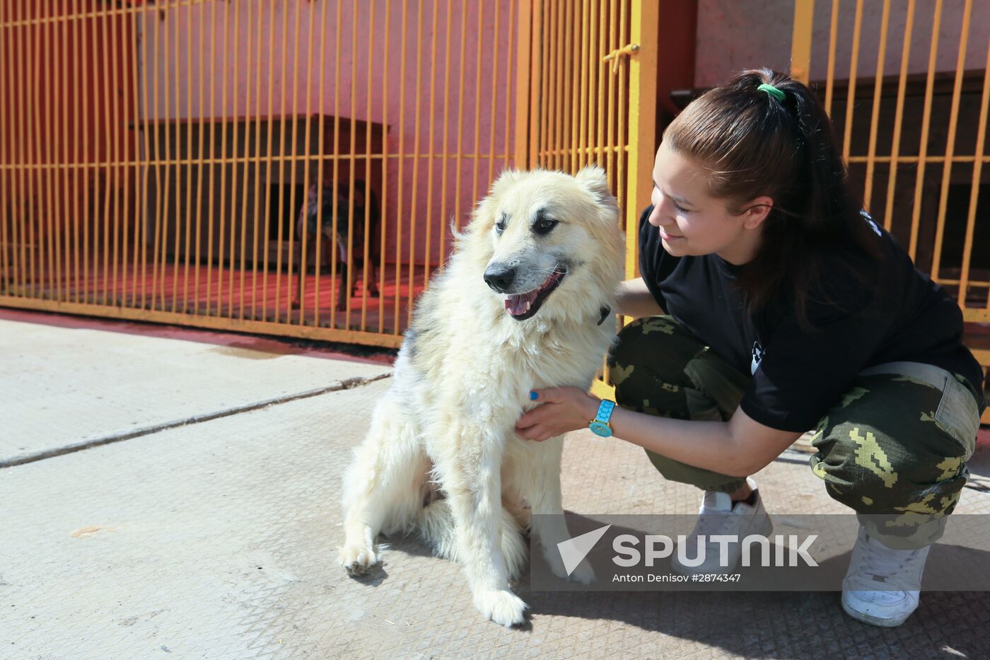 Emergencies Ministry Canine Center