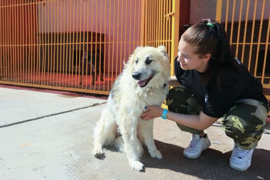 Emergencies Ministry Canine Center
