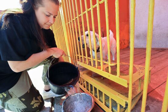 Emergencies Ministry Canine Center