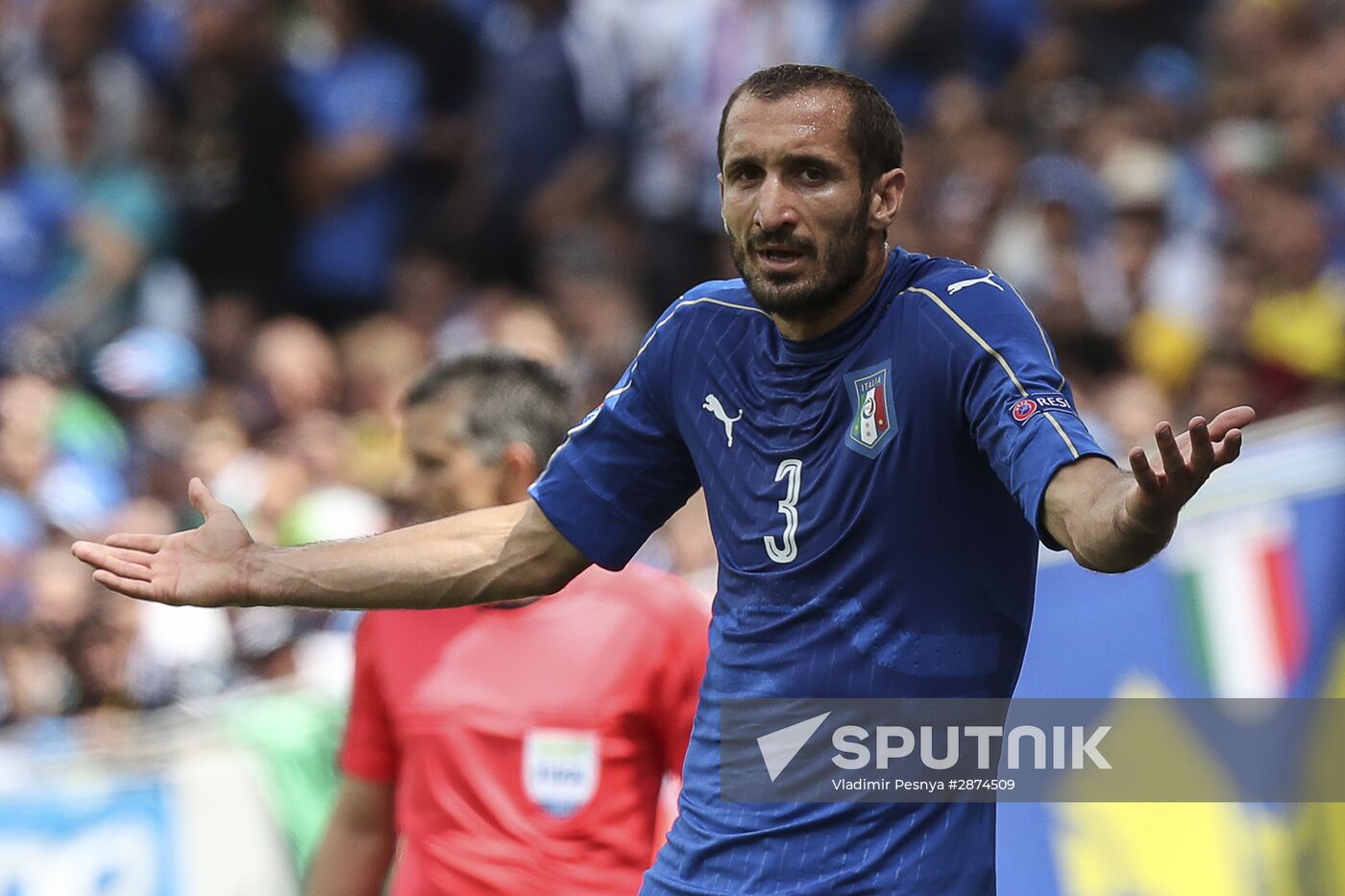 Football. UEFA Euro 2016. Italy vs. Sweden