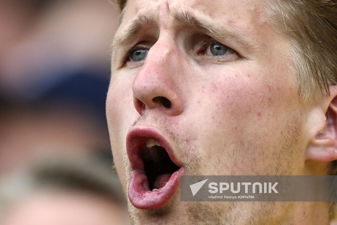 UEFA Euro 2016. Italy vs. Sweden