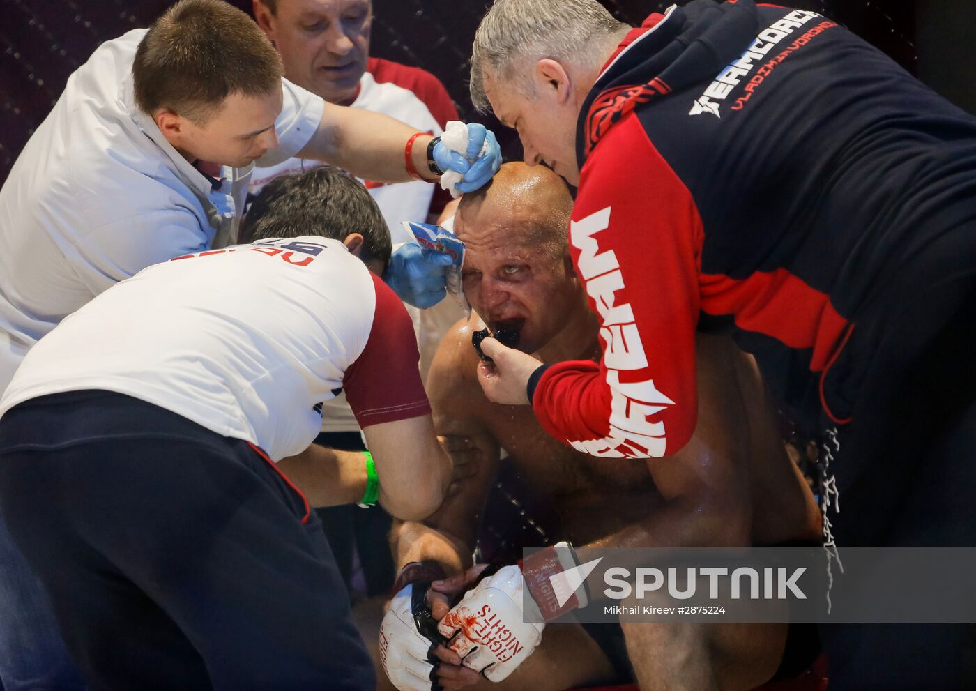 MMA. Fedor Emelianenko vs. Fabio Maldonado