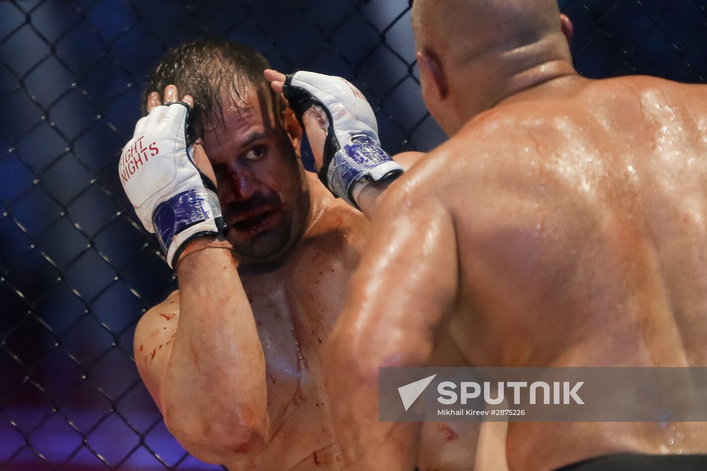 MMA. Fedor Emelianenko vs. Fabio Maldonado