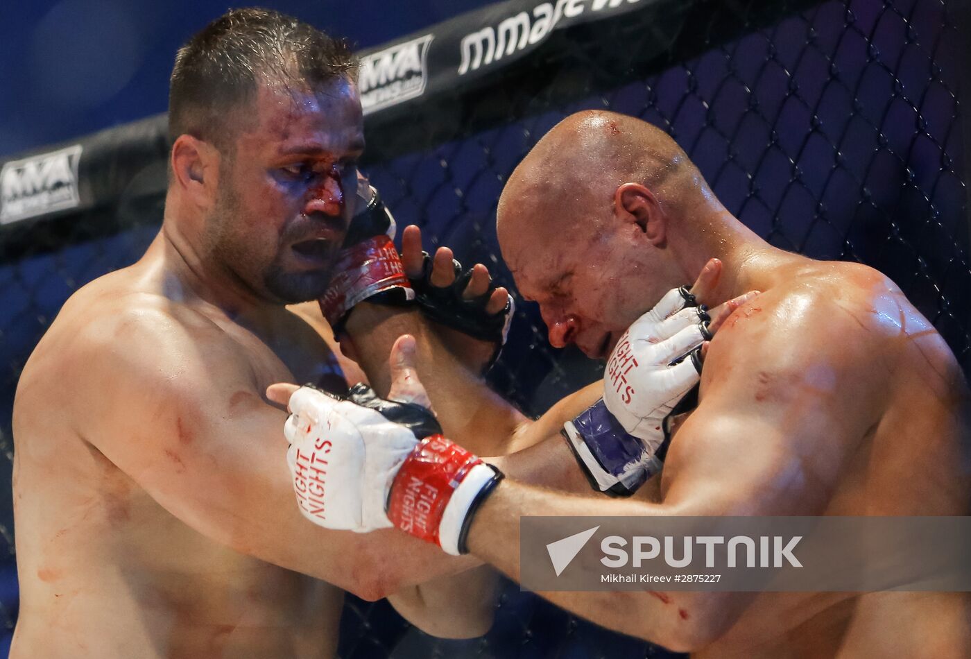 MMA. Fedor Emelianenko vs. Fabio Maldonado