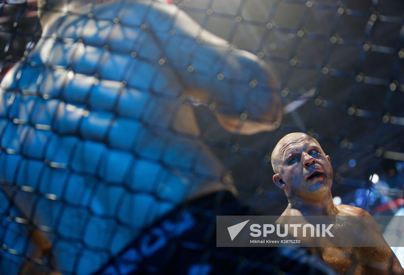 MMA. Fedor Emelianenko vs. Fabio Maldonado