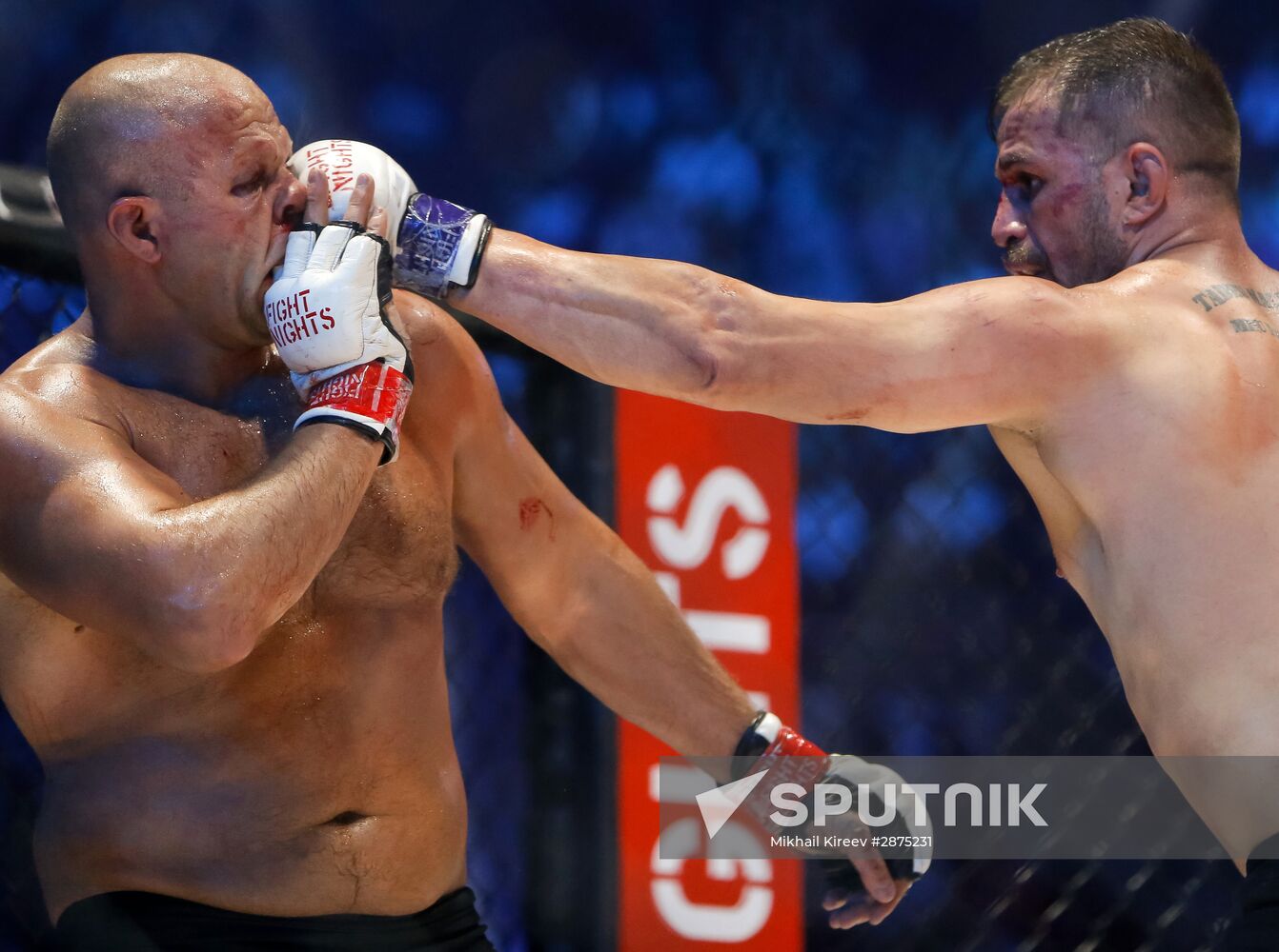 MMA. Fedor Emelianenko vs. Fabio Maldonado