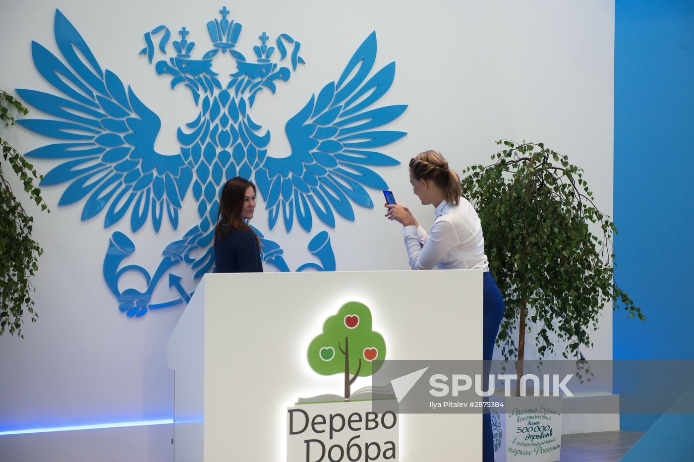 St.Petersburg International Economic Forum. Day Three