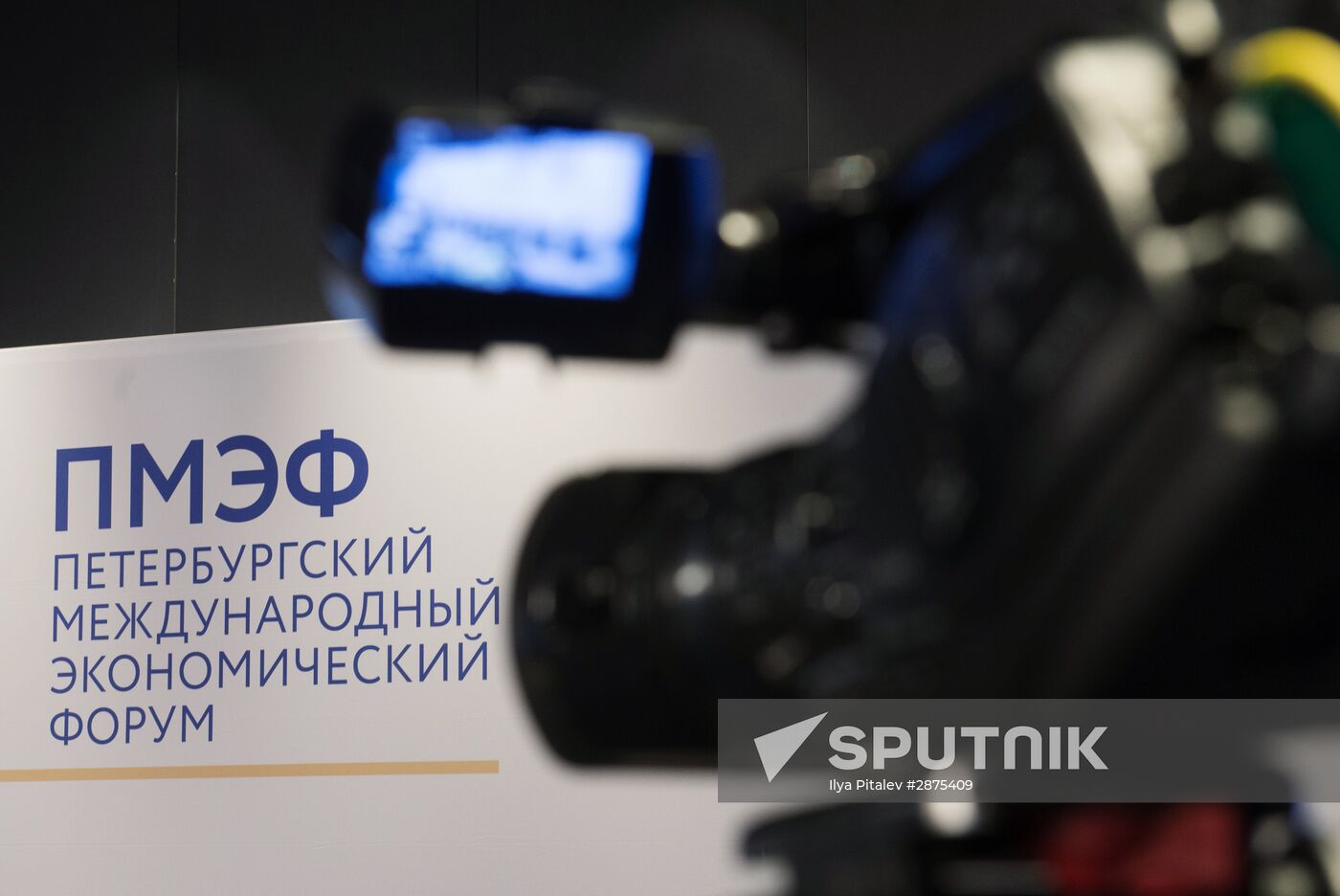 St.Petersburg International Economic Forum. Day Three