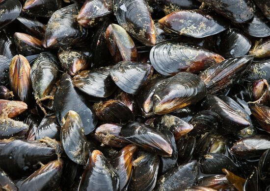 Recreation in Crimea