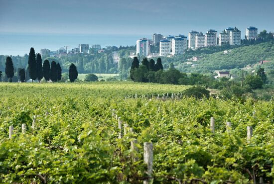 Recreation in Crimea