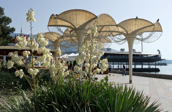 Recreation in Crimea