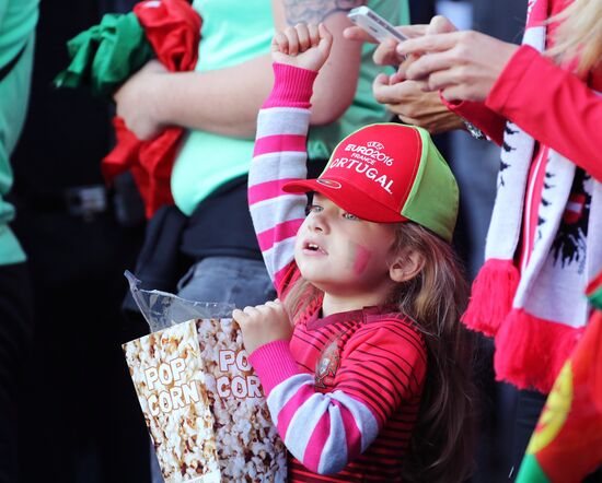 UEFA Euro 2016. Portugal vs. Austria