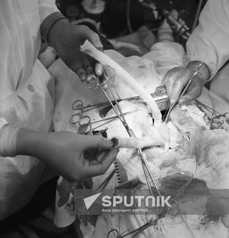 Research Institute of Clinical and Experimental Surgery