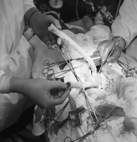 Research Institute of Clinical and Experimental Surgery