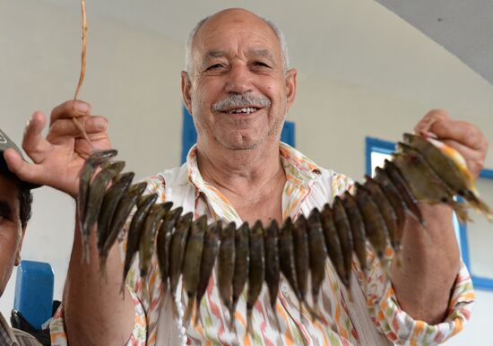 Market on island of Djerba