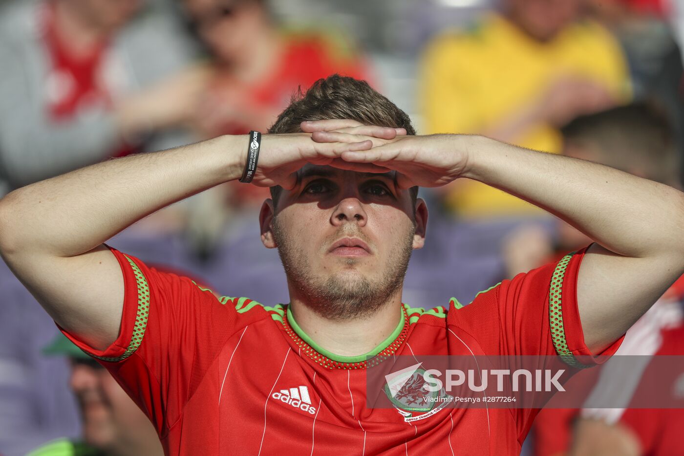 Football. UEFA Euro 2016. Russia vs. Wales