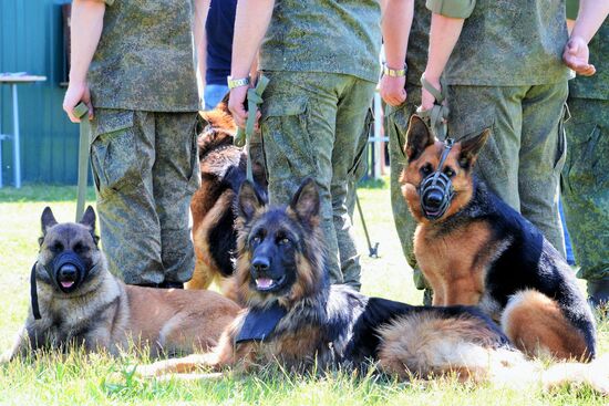 All-army leg of Loyal Friend competition of Russian Armed Forces' dog handlers opens