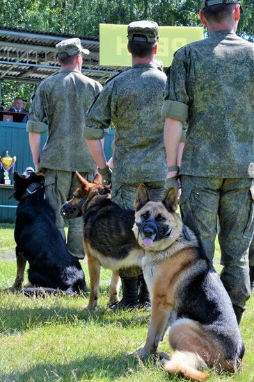 All-army leg of Loyal Friend competition of Russian Armed Forces' dog handlers opens