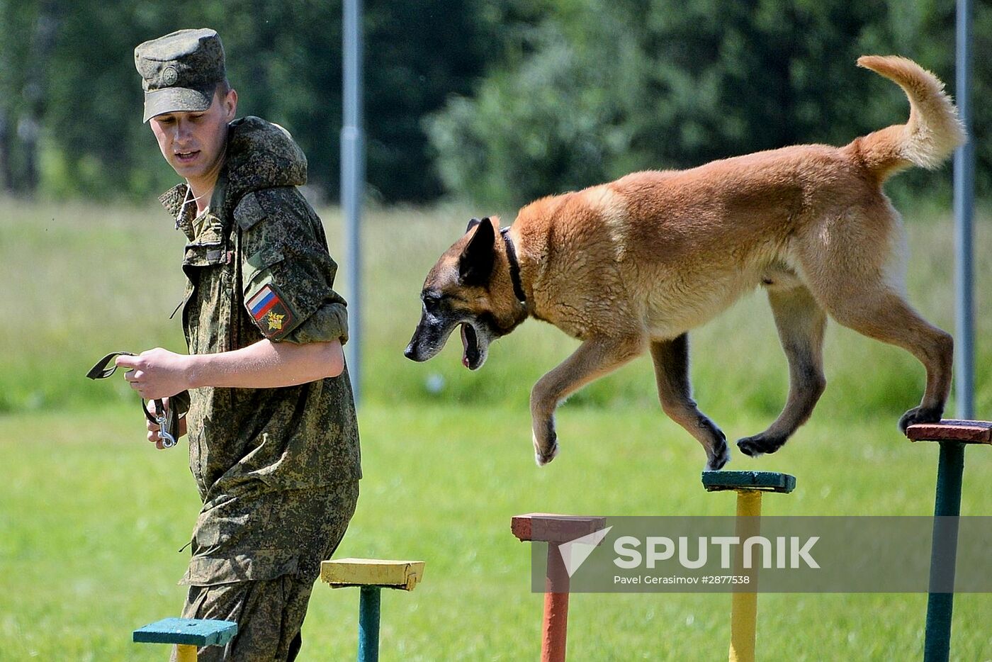 All-army leg of Loyal Friend competition of Russian Armed Forces' dog handlers opens