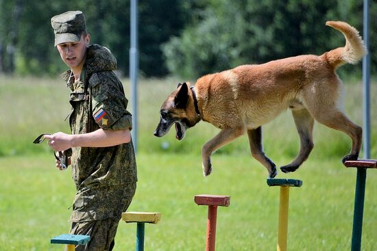 All-army leg of Loyal Friend competition of Russian Armed Forces' dog handlers opens