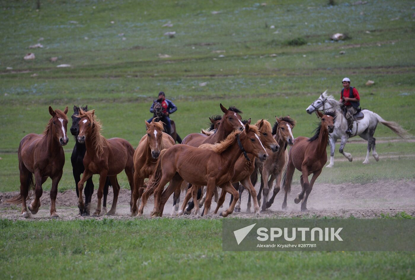 Sport contests during El Oiyn festival in Republic of Altai