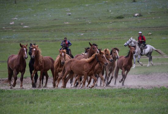 Sport contests during El Oiyn festival in Republic of Altai