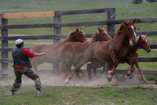 Sport contests during El Oiyn festival in Republic of Altai