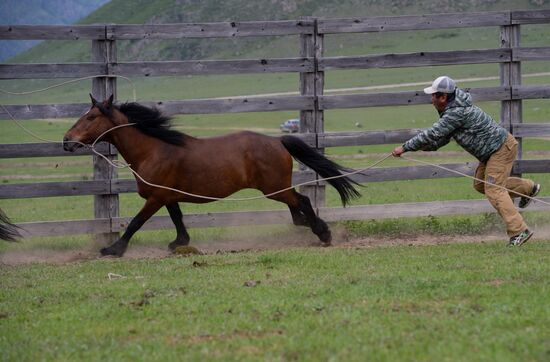 Sport contests during El Oiyn festival in Republic of Altai