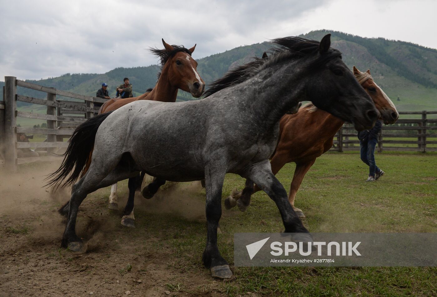 Sport contests during El Oiyn festival in Republic of Altai