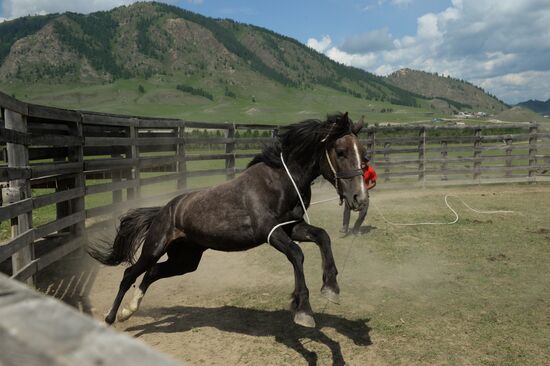 Sport contests during El Oiyn festival in Republic of Altai