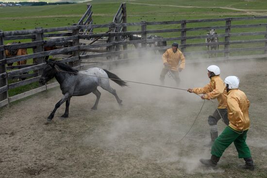 Sport contests during El Oiyn festival in Republic of Altai