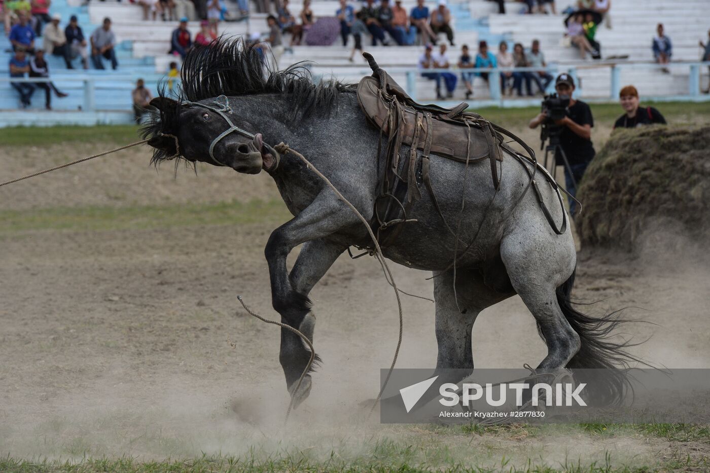 Sport contests during El Oiyn festival in Republic of Altai