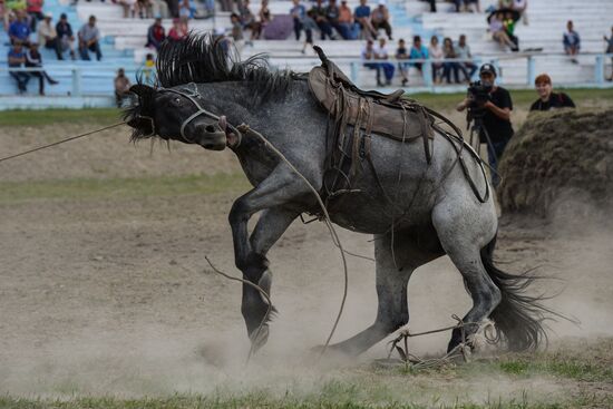 Sport contests during El Oiyn festival in Republic of Altai