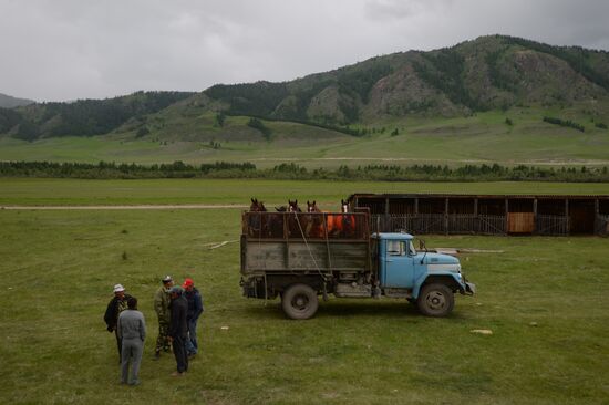 Sport contests during El Oiyn festival in Republic of Altai