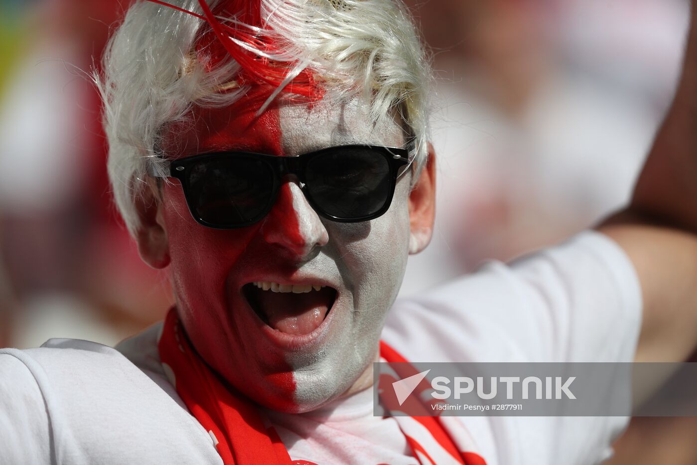 Football. UEFA Euro-2016. Ukraine vs Poland