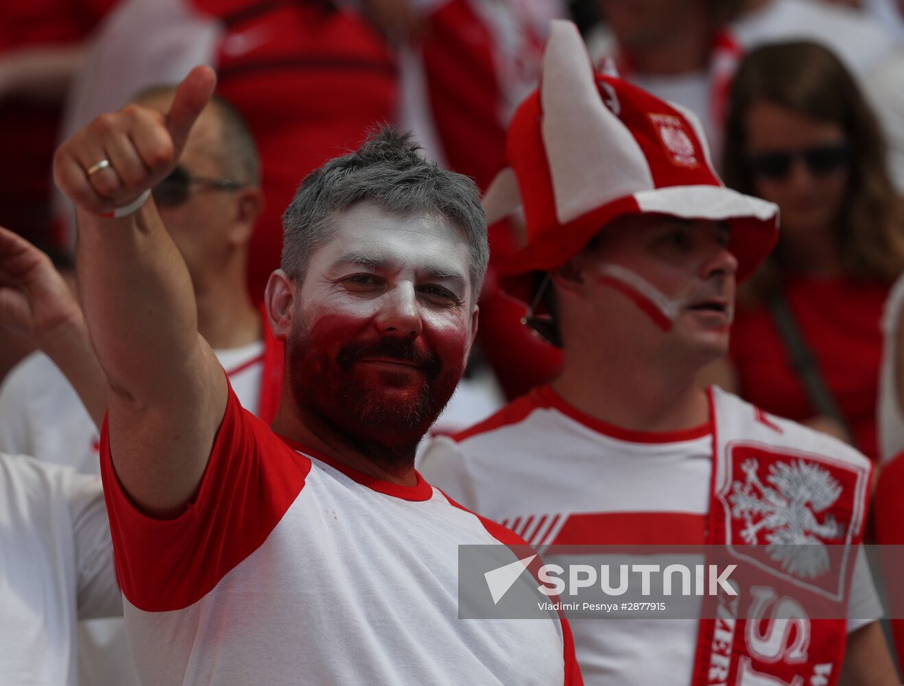 Football. UEFA Euro 2016. Ukraine vs Poland