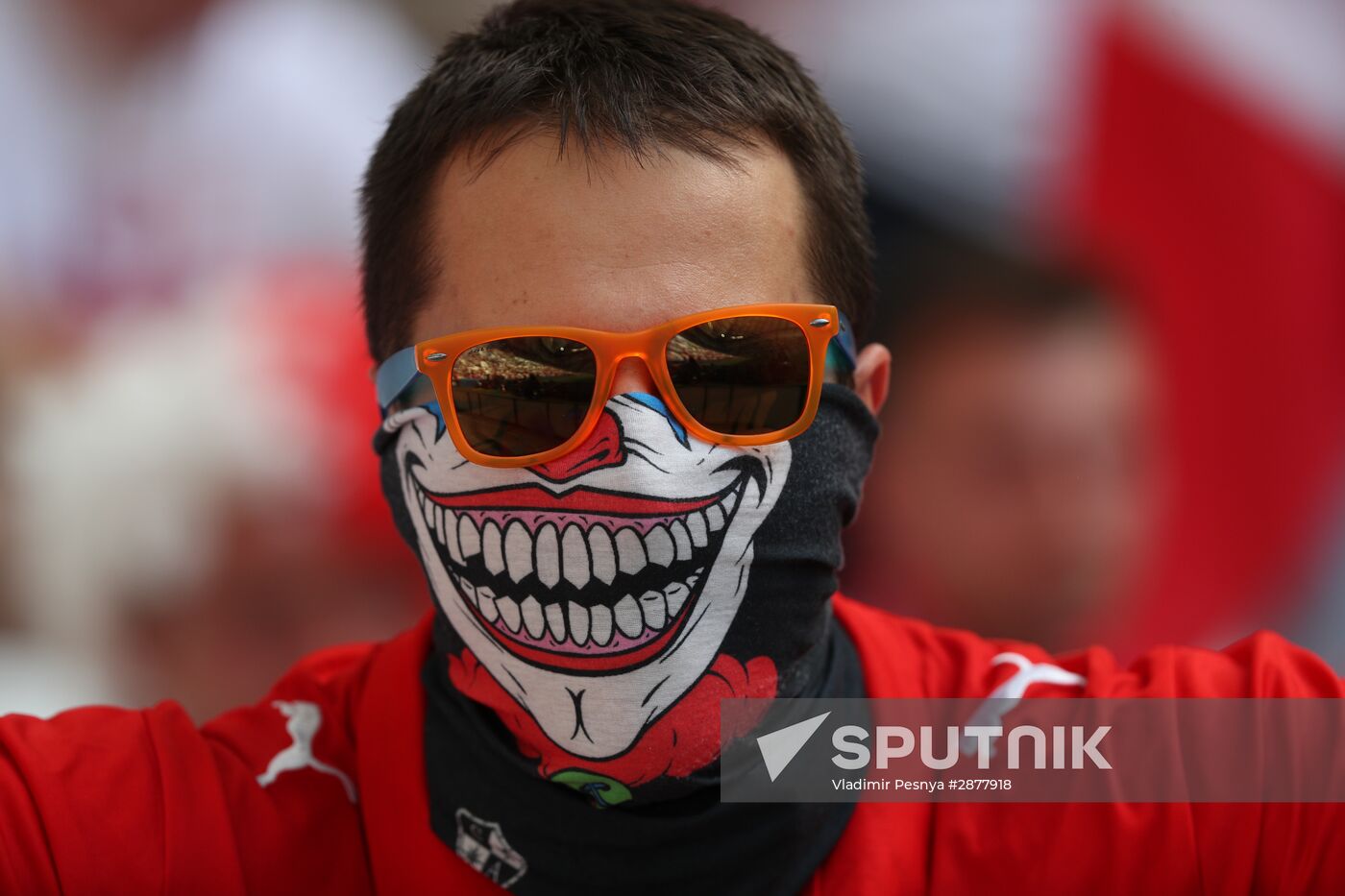 Football. UEFA Euro-2016. Ukraine vs Poland