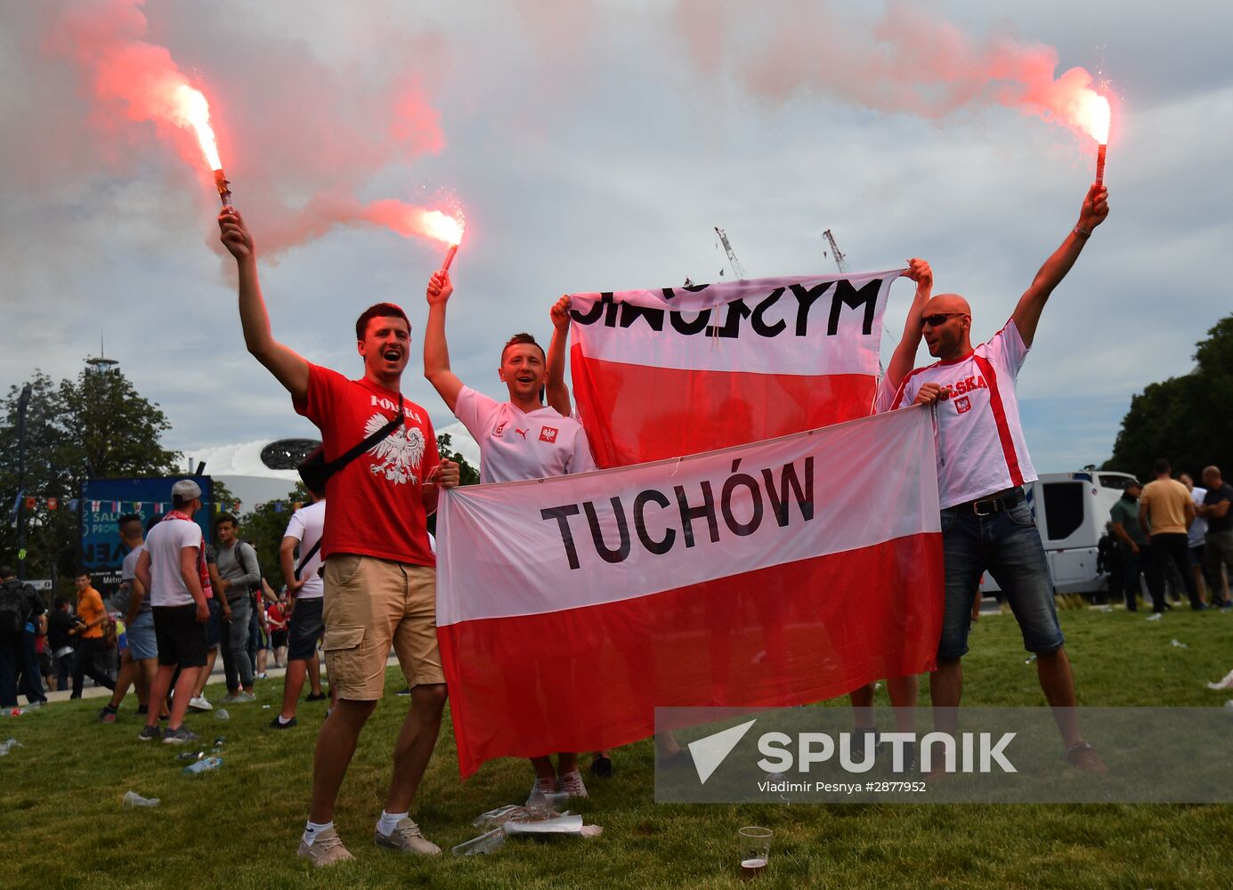 Football. UEFA Euro 2016. Ukraine vs Poland