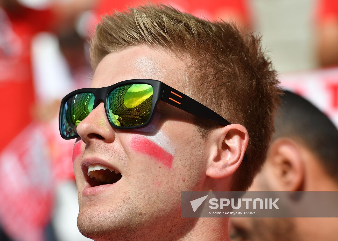 Football. UEFA Euro-2016. Ukraine vs Poland