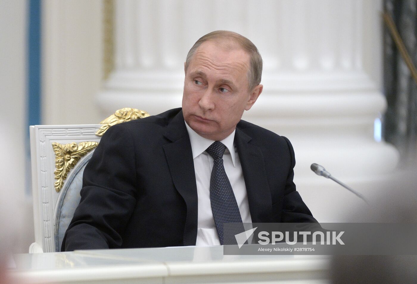 President Vladimir Putin meets with National Historical Assembly delegates