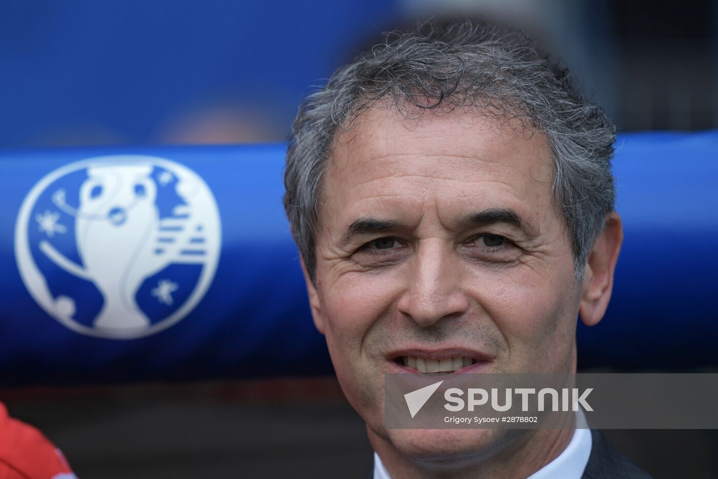 The UEFA Euro 2016. Iceland vs. Austria