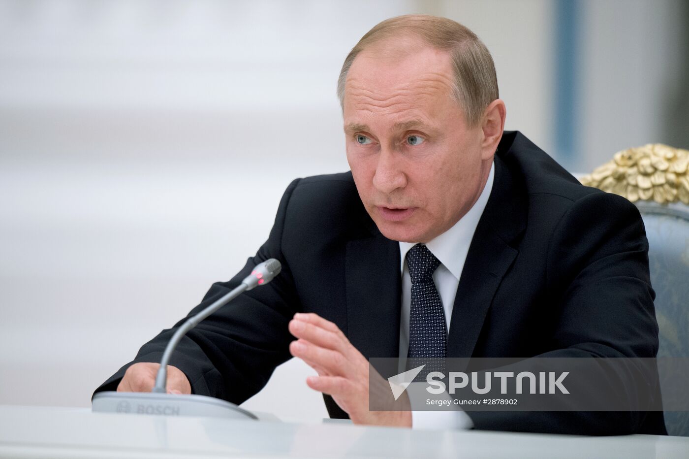 President Vladimir Putin meets with National Historical Assembly delegates